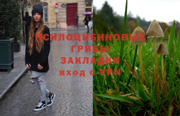 apvp Алзамай