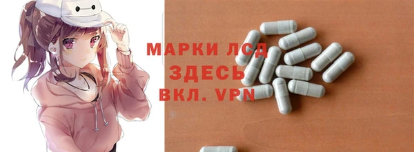 apvp Алзамай