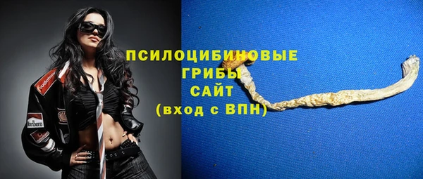 apvp Алзамай