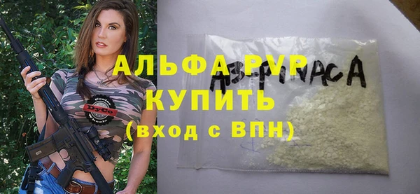 apvp Алзамай